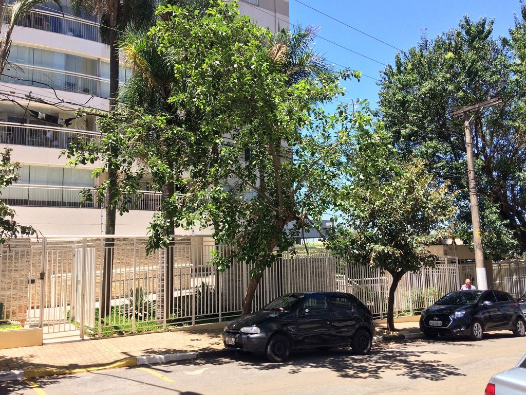 Condomínio Palm D'Or Rua Coelho de Carvalho, 220, Alto de Pinheiros